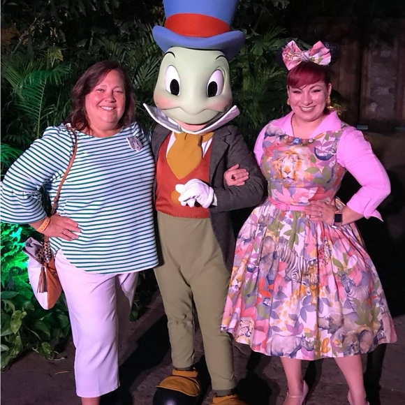 Custom swing dress pattered on a Havana (pug) - Picture 10 of 10